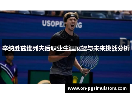 辛纳胜兹维列夫后职业生涯展望与未来挑战分析